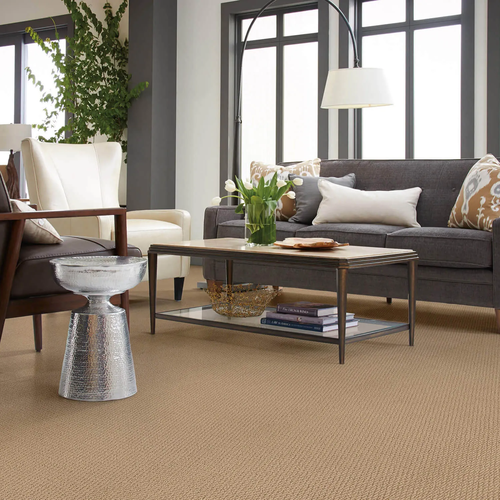 Modern carpet floors in Tallahassee, FL