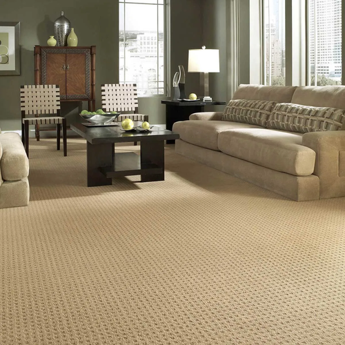 Textured Carpet options in Tallahassee, FL