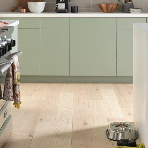 The Best Scratch Resistant Flooring Options