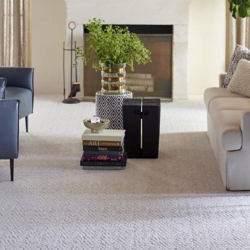 Living Room Pattern Carpet - Floorida Floors in Tallahassee, FL