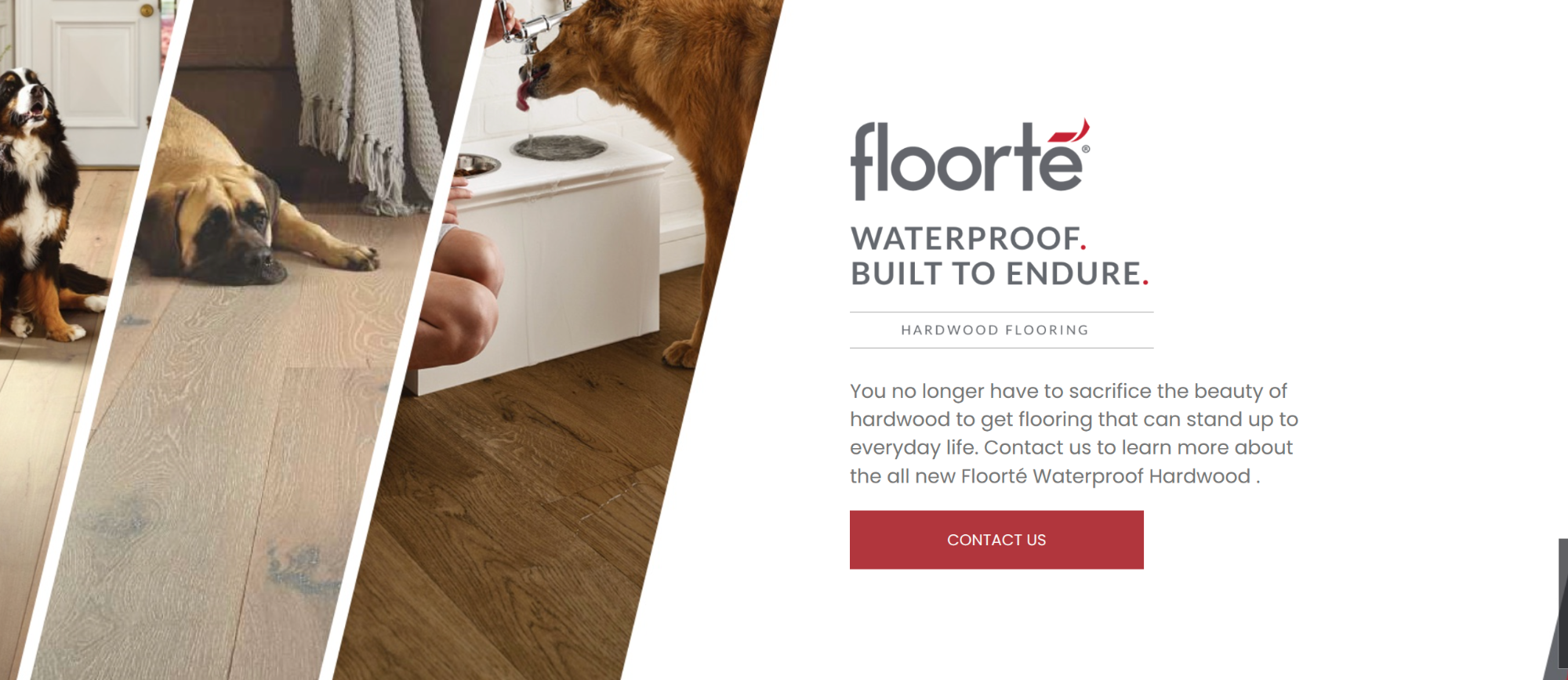 Floorte Ad for Pet proof flooring featuring dogs on hardwood floors