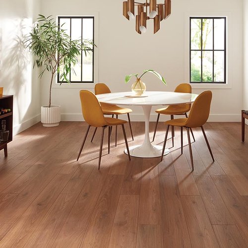 Dining Room Luxury Vinyl Plank LVP - Floorida Floors in Tallahassee, FL