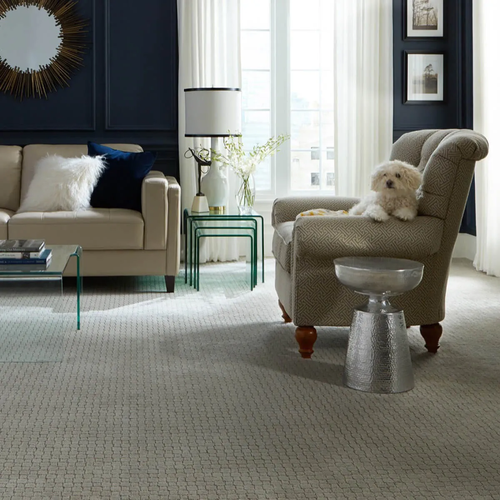 Pet friendly carpet in Tallahassee, FL
