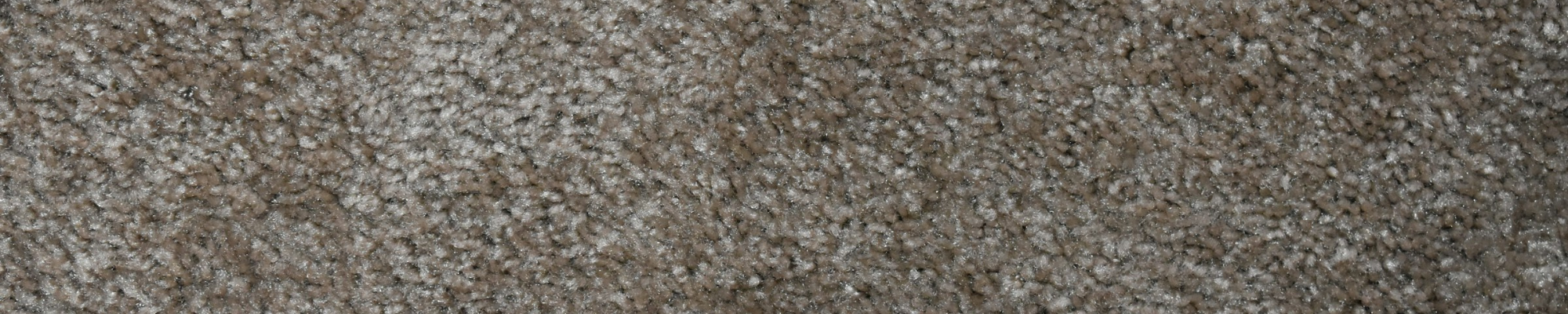 Carpet from Floorida Floors in Tallahassee, FL