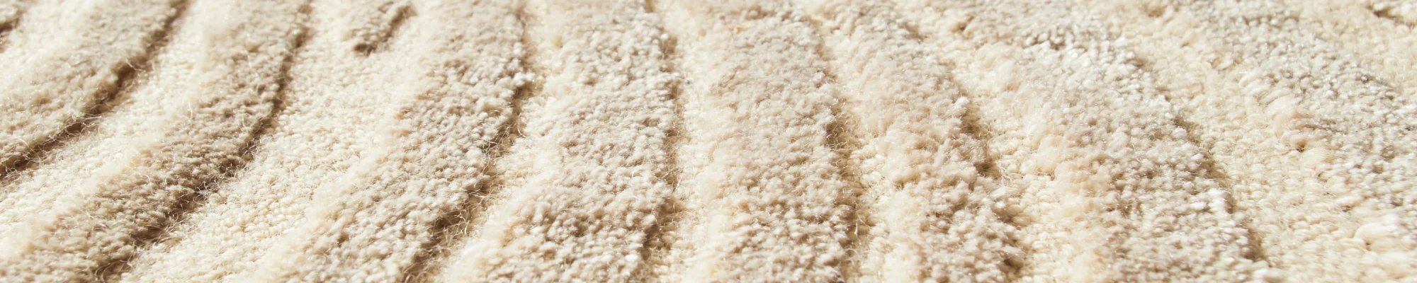 Textured Carpet in a local home in Tallahassee, FL