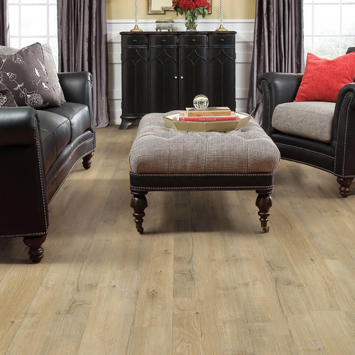 Beige floor in a traditional style in a Tallahassee, FL home