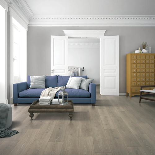 Tallahassee, FL home with a blue sofa and grey laminate flooring