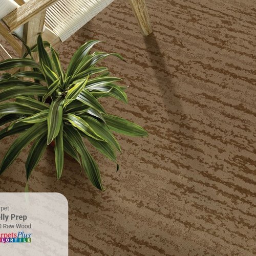 LookBook-Carpet-KellyPrep